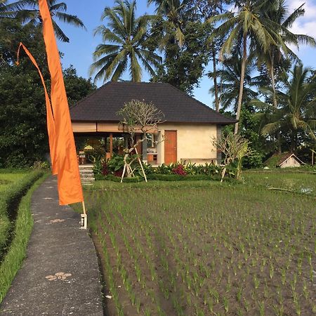 Puri Raya Villa Ubud Exterior foto