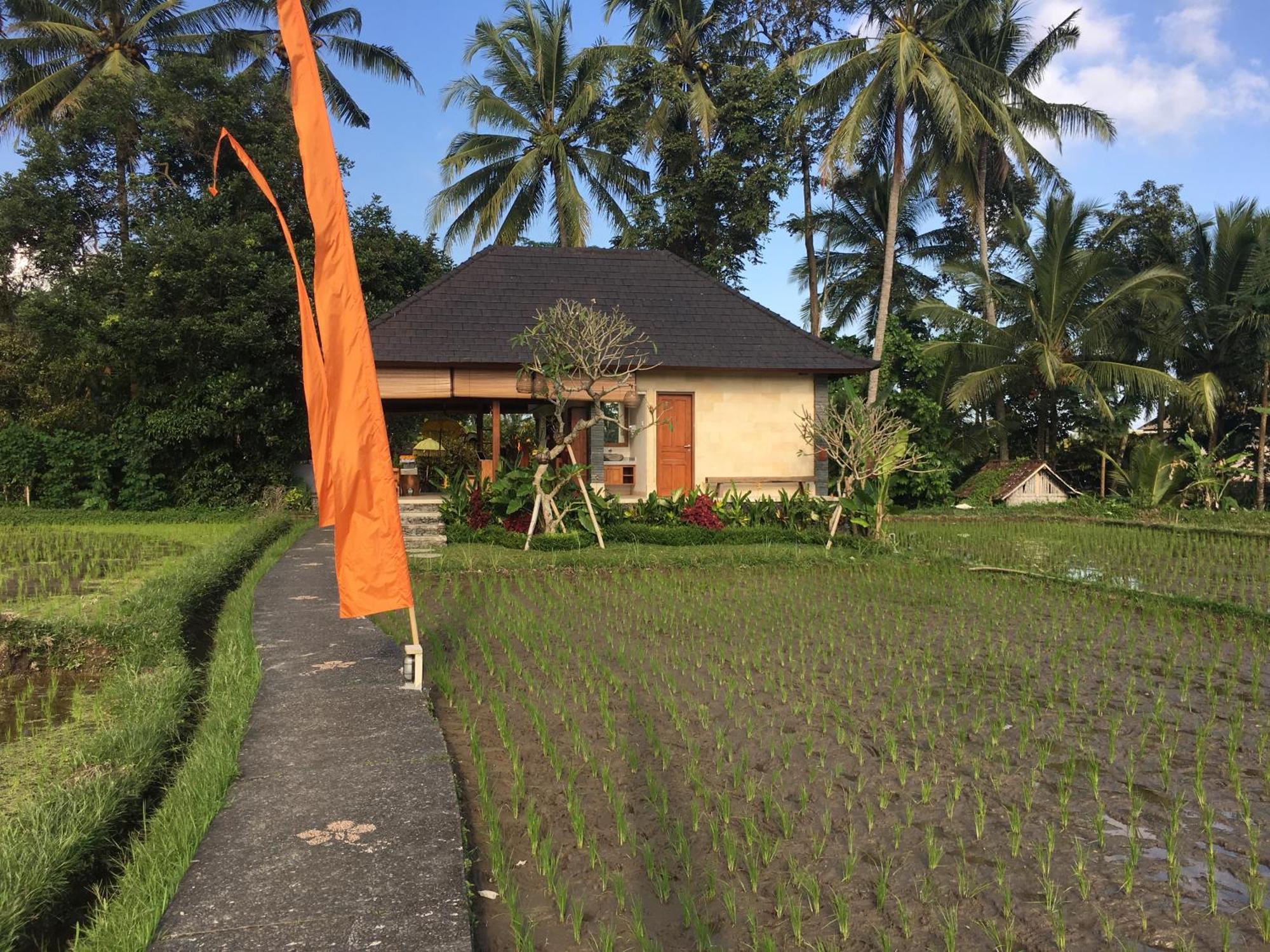 Puri Raya Villa Ubud Exterior foto