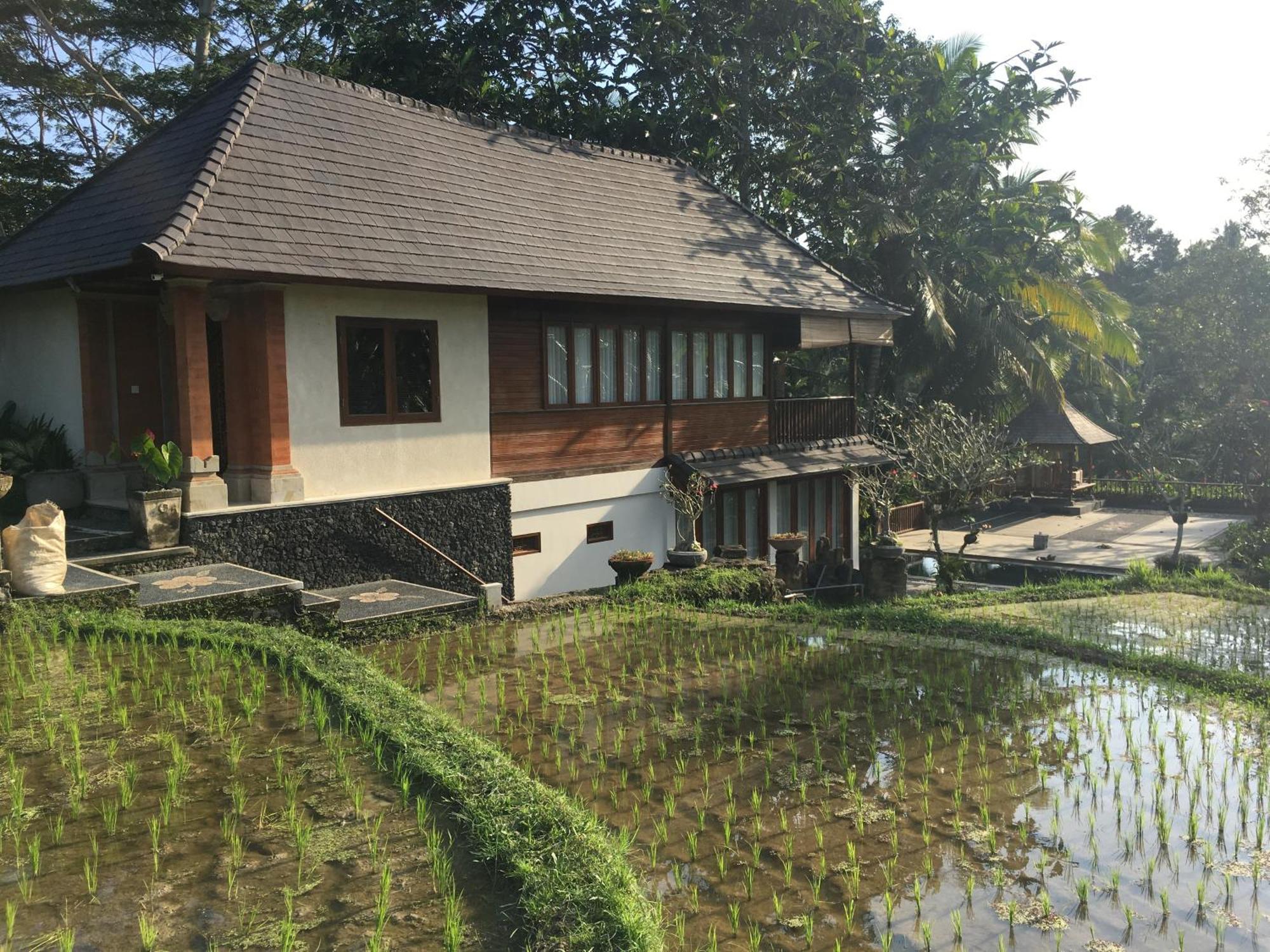 Puri Raya Villa Ubud Exterior foto