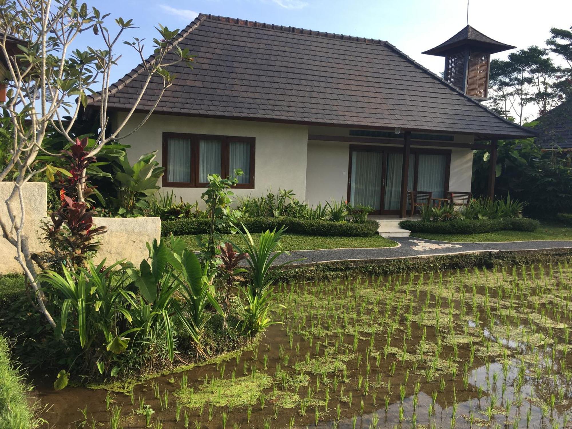 Puri Raya Villa Ubud Exterior foto