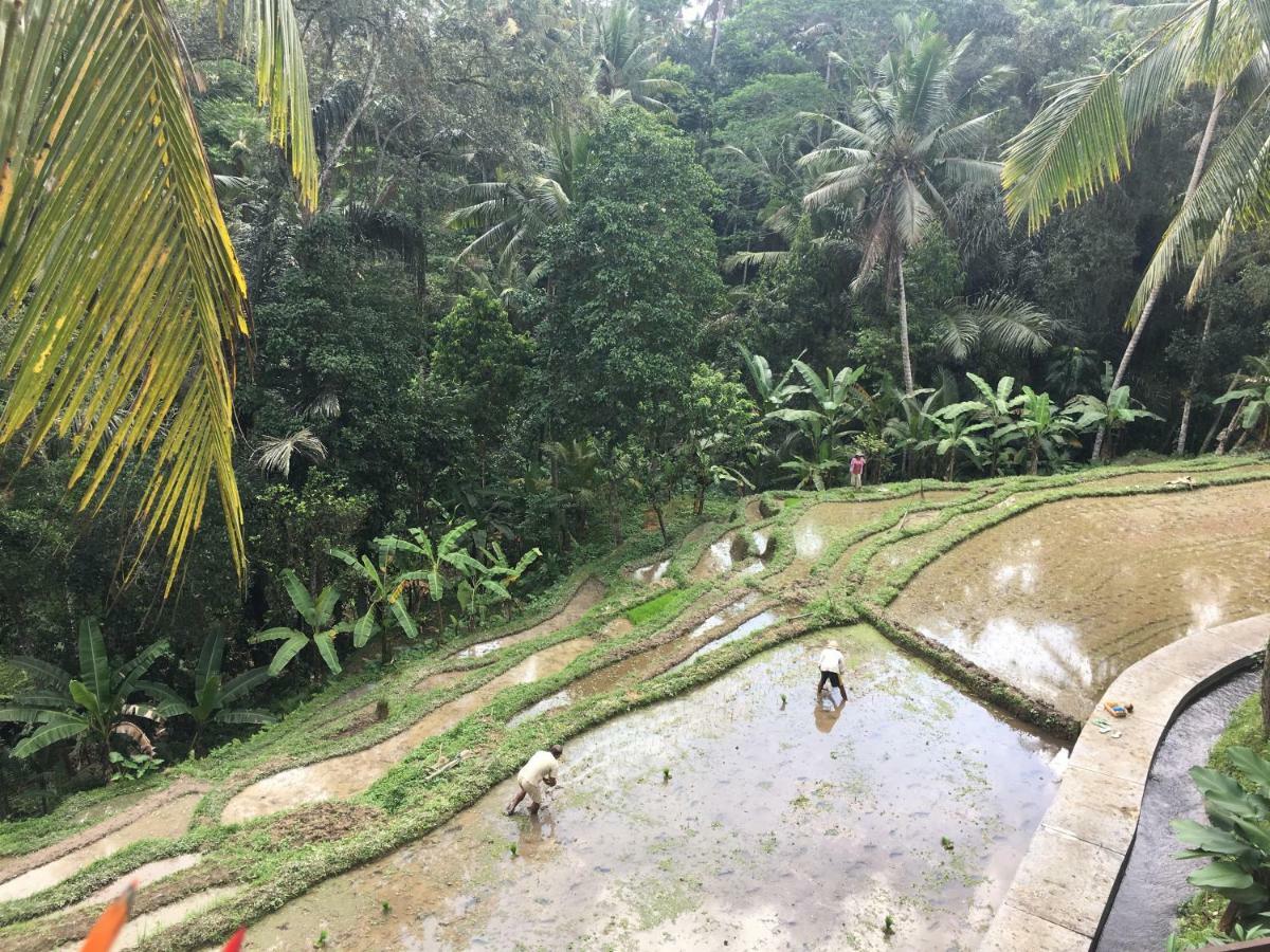 Puri Raya Villa Ubud Exterior foto