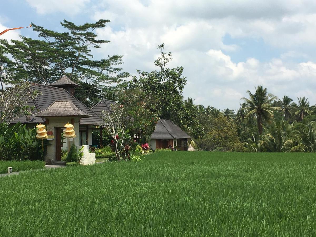 Puri Raya Villa Ubud Exterior foto