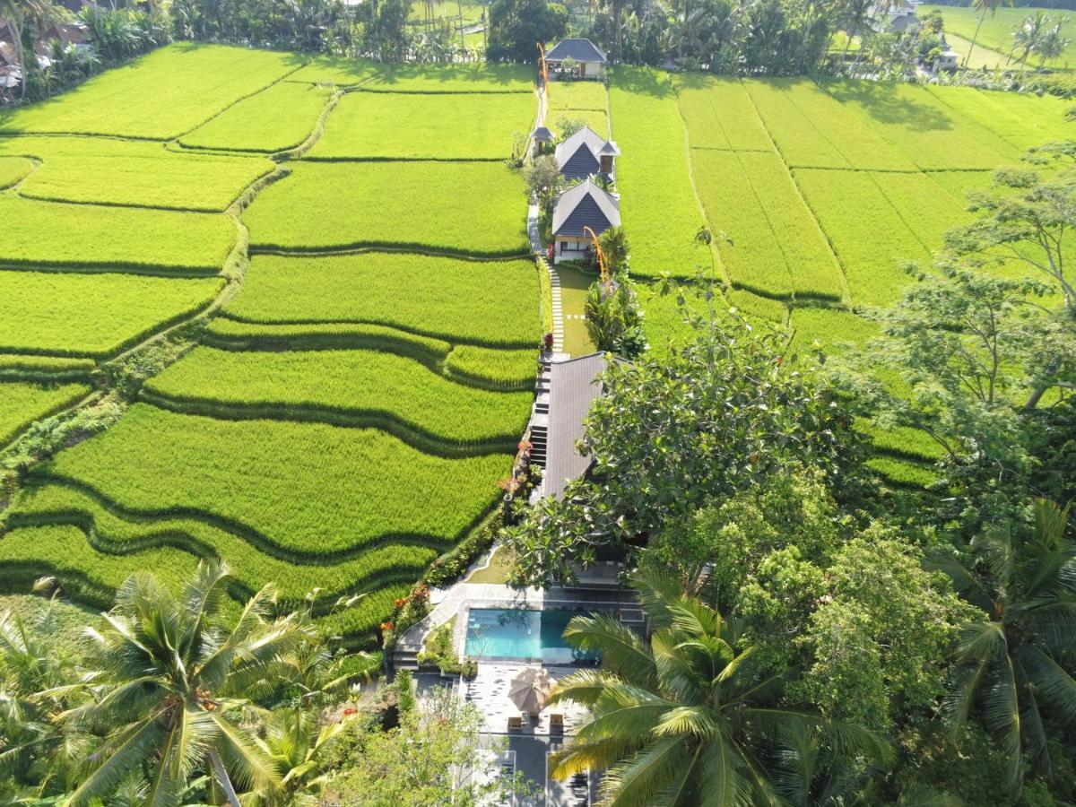 Puri Raya Villa Ubud Exterior foto